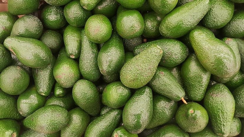 Increasing avocado production with biostimulants