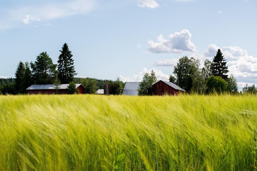 Stickstoff in der Landwirtschaft: Vorteile und Anwendung