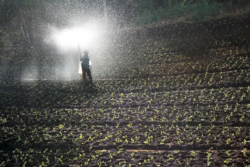 Biodiversity at Risk: How Organic Agriculture Can Be the Solution (and