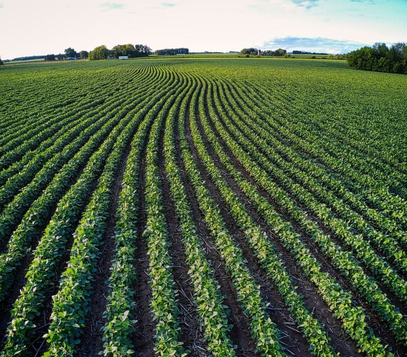 Agricultural Fertilizers Málaga: Complete Guide 2026