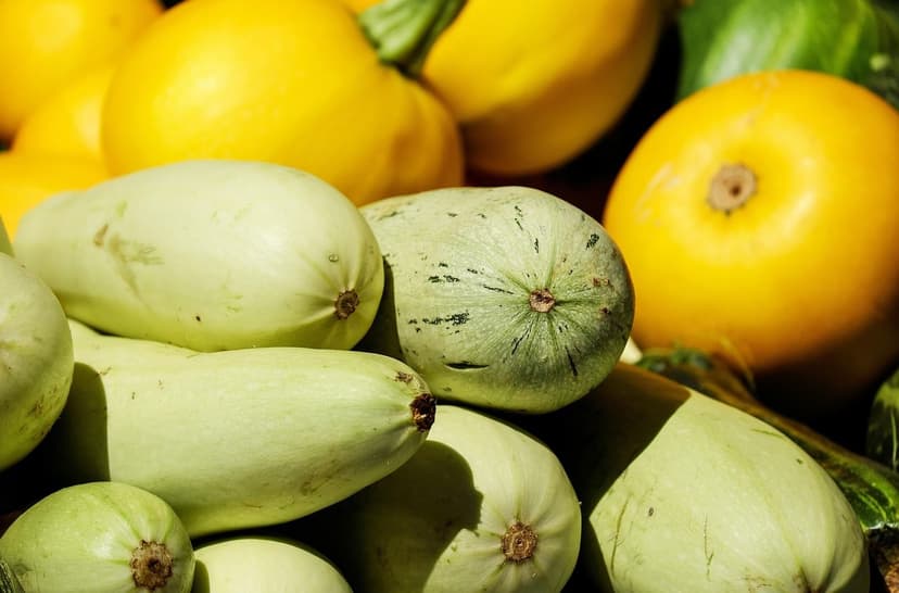 Soil microorganisms that boost your crops