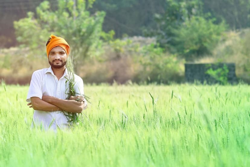 Avantages des Biostimulants dans les Cultures Européennes