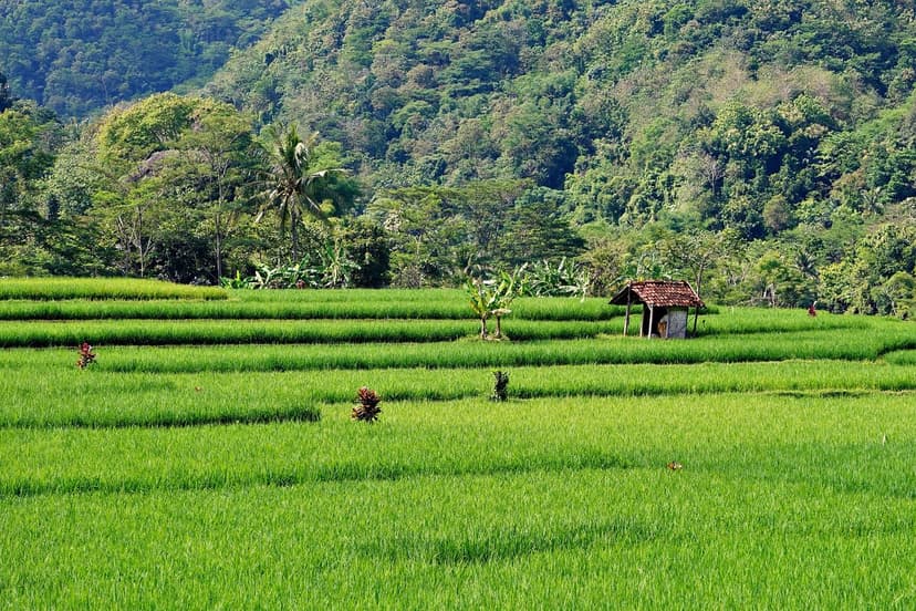 Bioprotectant Trends for Tropical Crops 2026