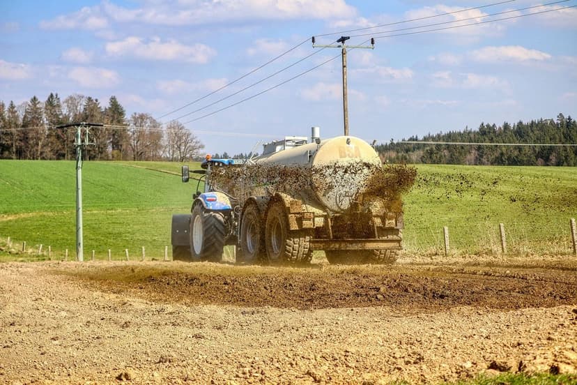Gefährdete Biodiversität: Wie die ökologische Landwirtschaft die Lösun