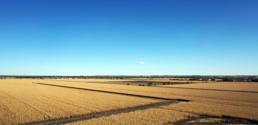 Bioprotettori: definizione e vantaggi rispetto ai fungicidi chimici