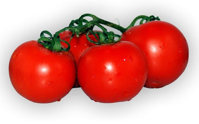 Biostimolanti per Pomodori in Colombia: Aumenta la Produzione