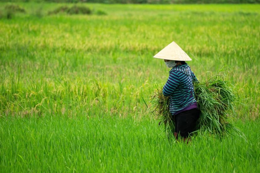 Strategie di prevenzione in agricoltura biologica