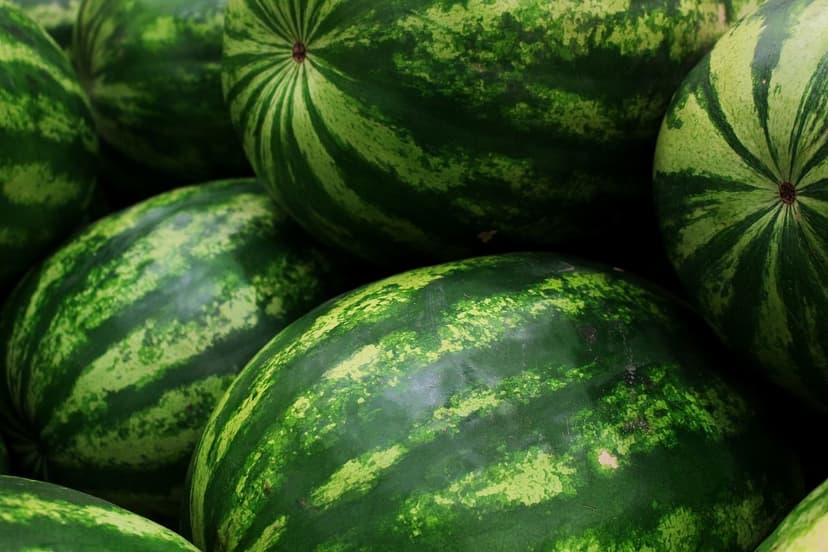 Microrganismos do Solo na Agricultura Regenerativa