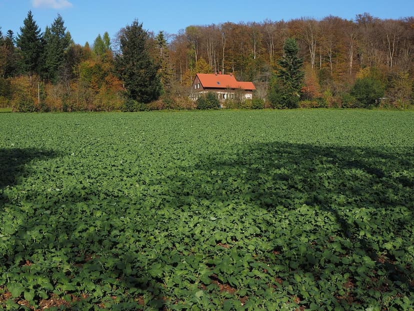 Trends in Biostimulants: The Future of Agriculture
