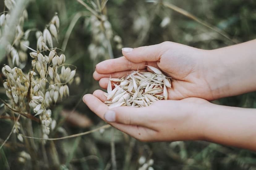 Agricultural Solutions: A Path Toward Sustainability