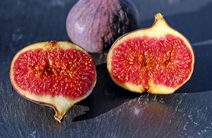 Bodenmikroorganismen: verbessern die Fruchtbarkeit