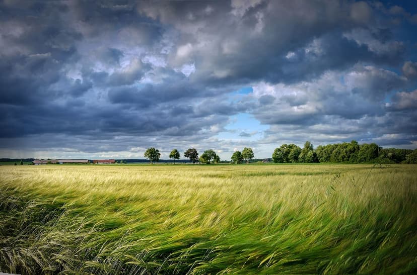O Futuro dos Fertilizantes: Tendências Globais da Biofertilização na E