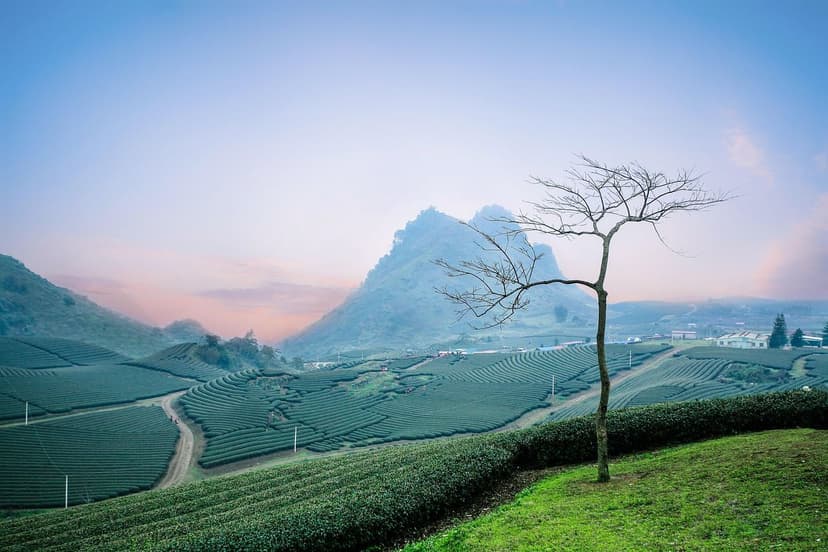 Strategies for Implementing Sustainable Agriculture