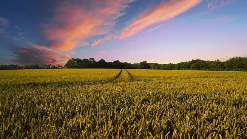Biostimulants for Vegetable Crops: Maximize Your Harvest