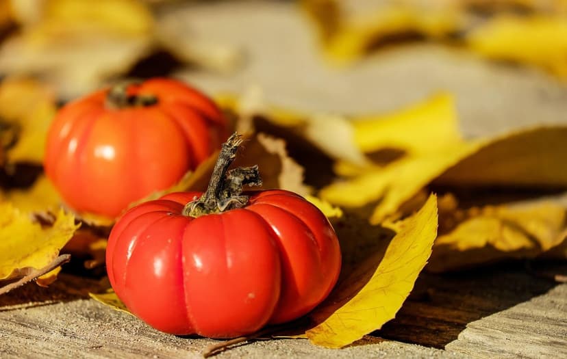Strategie per aumentare la produzione di pomodoro in Colombia