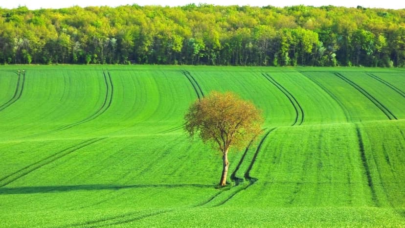 Regolamentazione Biostimolanti Europa: Cambiamenti per gli Agricoltori
