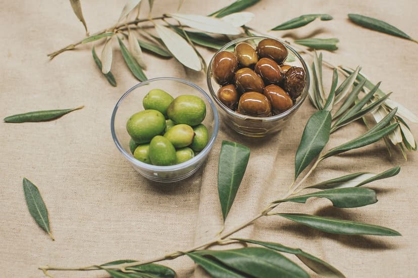 Effect of Biostimulants on Olive Tree Budding