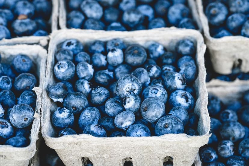 Frutti di Bosco Ben Concimati: Perché Influenzano la Loro Qualità?