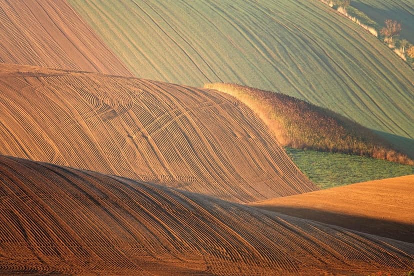 Interação de Bioestimulantes e Fertilizantes em Cultivos