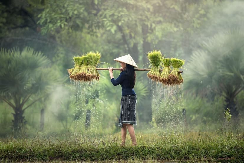 Azoto e Amminoacidi: Sinergia nell'Agricoltura Sostenibile
