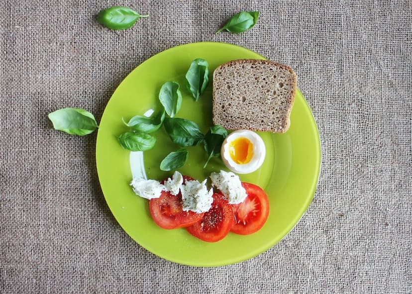 Biostimulanzien und Wurzelwachstum der Tomate