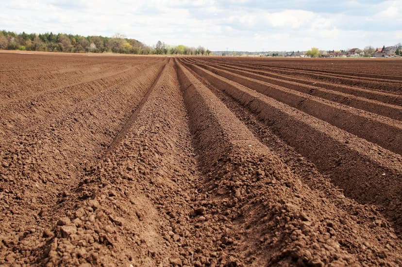 Como escolher entre fertilizante biológico, orgânico e ecológico