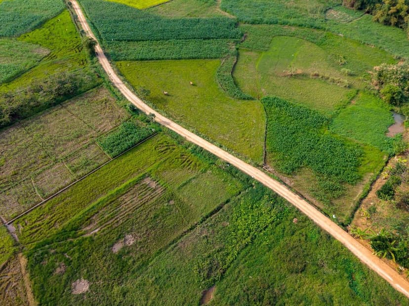 Tendências em Bioestimulantes para Pimentões e Berinjelas