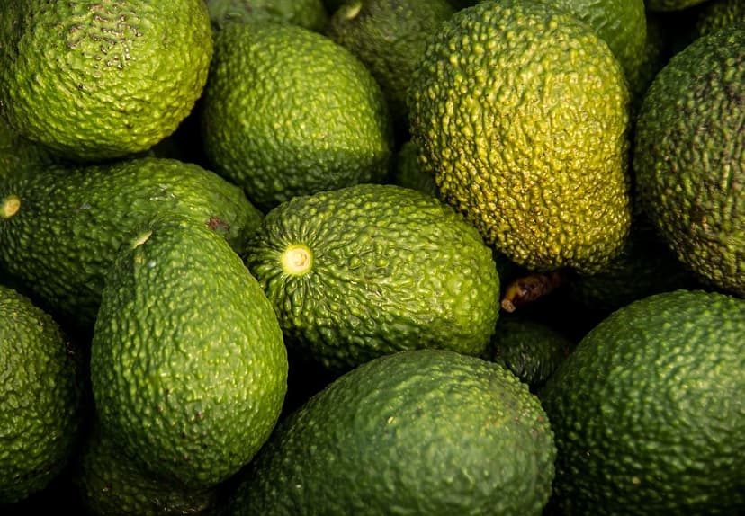 Biostimolanti per l'Avocado: Guida Tecnica per Fase Fenologica per Spa