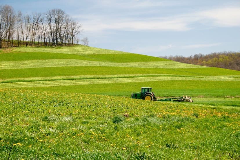 Microbiology and Disease Resistance in Crops