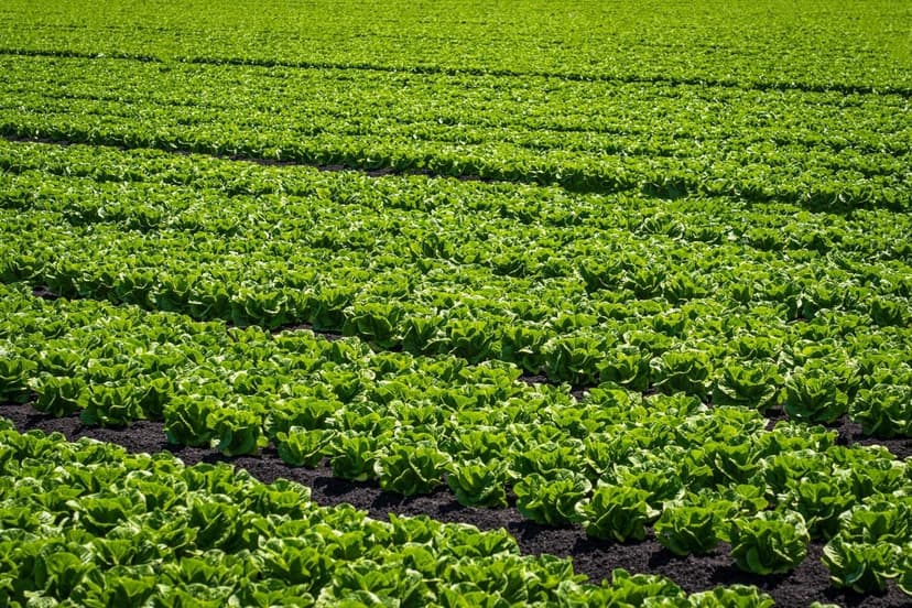 Benefici dei Bioprotettori nelle Colture di Frutti Tropicali