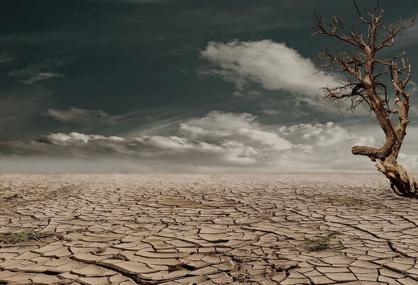 Stress abiotico negli ortaggi in serra: miti e pratiche agronomiche