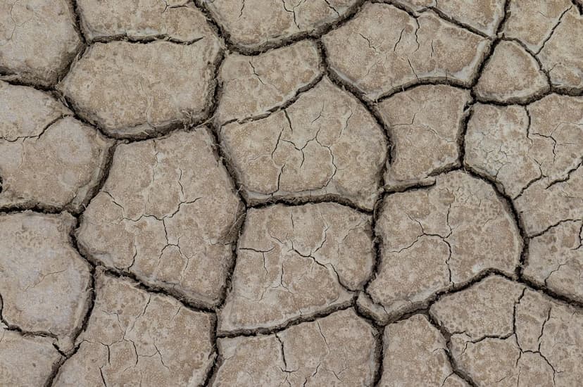 Stress abiotique des légumes : l'apport des biostimulants