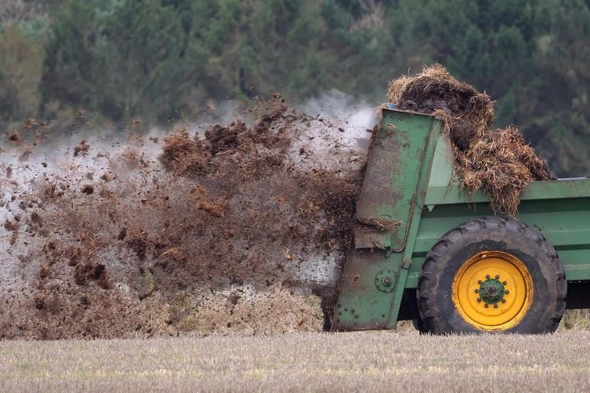 Biodiversity at Risk: How Organic Agriculture Can Be the Solution (and