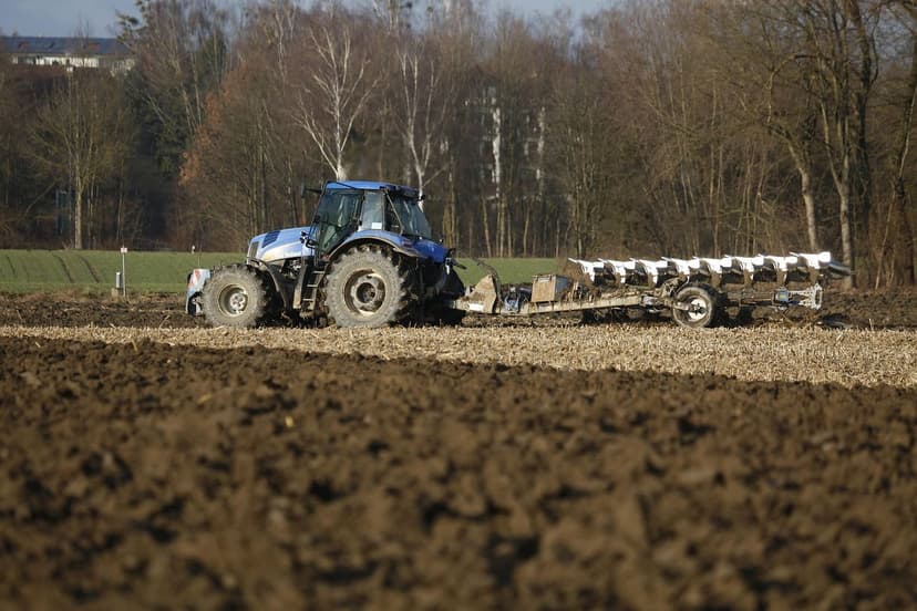 Bodenmikroorganismen: verbessern die Fruchtbarkeit