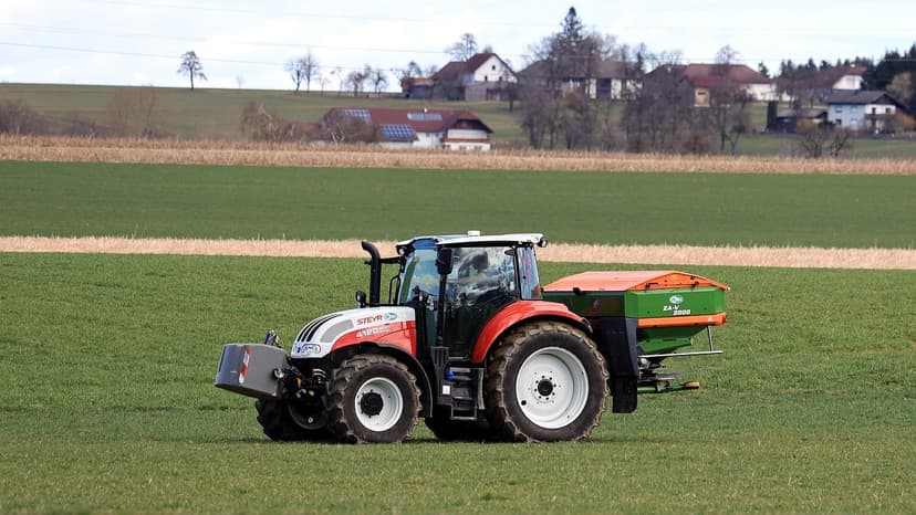 Fertilização Nitrogenada em Espinafre: Dose e Momento