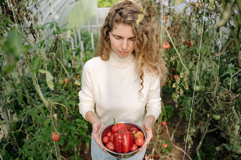 La microbiologia del suolo: motore della nutrizione del pomodoro