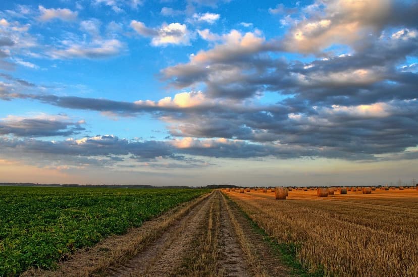 Agricultural Solutions: A Path Toward Sustainability