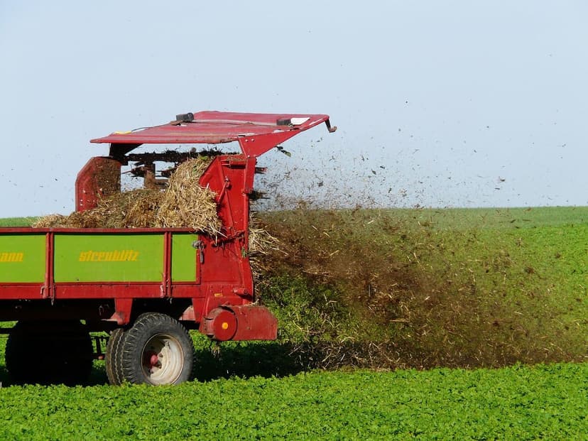 Fertilização Nitrogenada em Pimentão: Dose e Aplicação