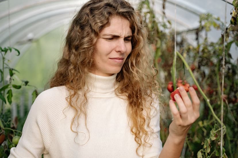 Organic matter and structure: the foundation of a living soil