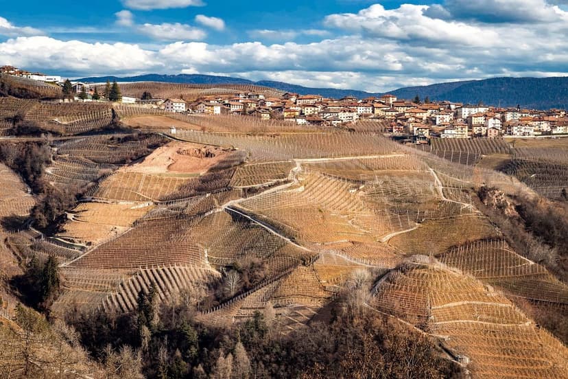 ECOGANIC POWER contro ESCA in vite: eliminazione totale dei sintomi in