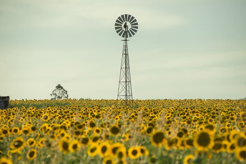 Nitrógeno y Aminoácidos: Sinergia en Agricultura Sostenible