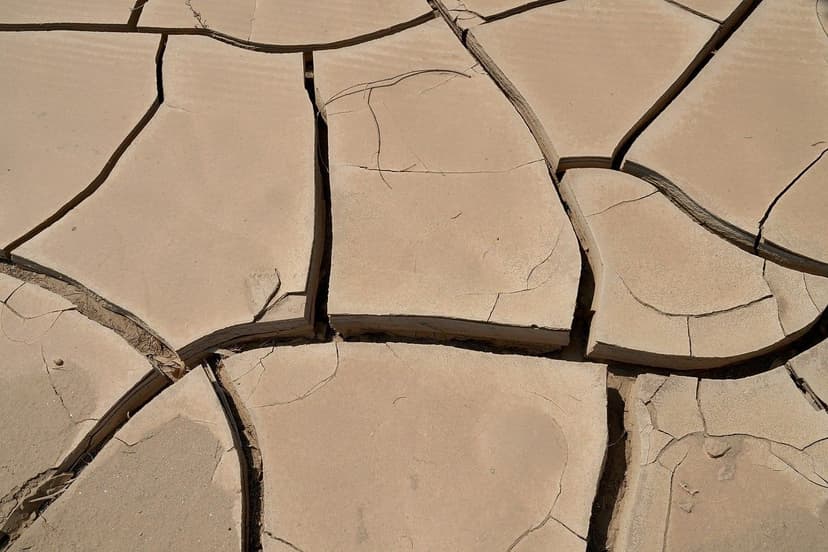 Myths and Realities of Abiotic Stress in Vegetables