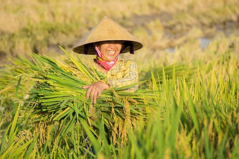 Nitrogênio e Ácidos Húmicos na Agricultura Sustentável