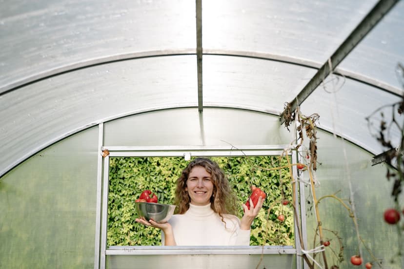 Stratégies pratiques pour favoriser un sol vivant dans la culture de la tomate