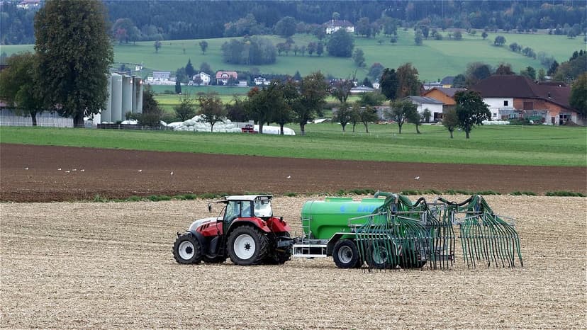 Nitrogen Fertilization in Wheat: Key Rate and Timing