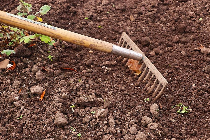 Microorganismes du Sol : Clé pour des Cultures Plus Saines