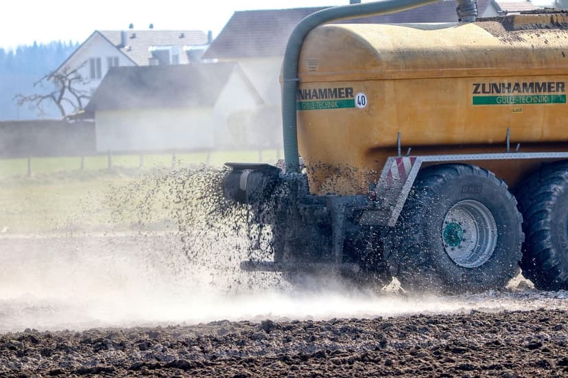 Fertilização Nitrogenada em Trigo: Dose e Momento Chave