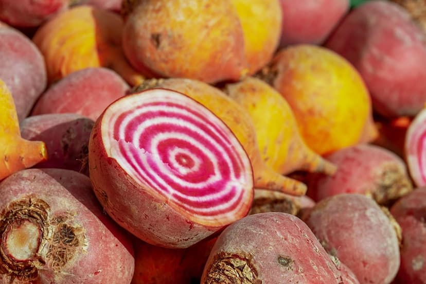 Soil microorganisms: a boost for your crops