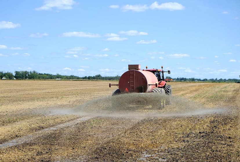 Fertilisation azotée de l'épinard : Dose et moment d'application