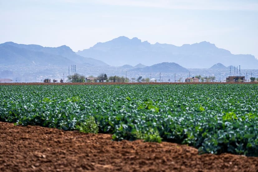 Biostimulants in Organic Agriculture in Europe